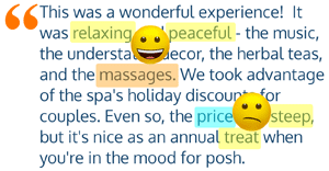sample review showing a smiling emoji face over words relaxing, peaceful, and massages, and a frowning emoji face over the words price, steep, and treat